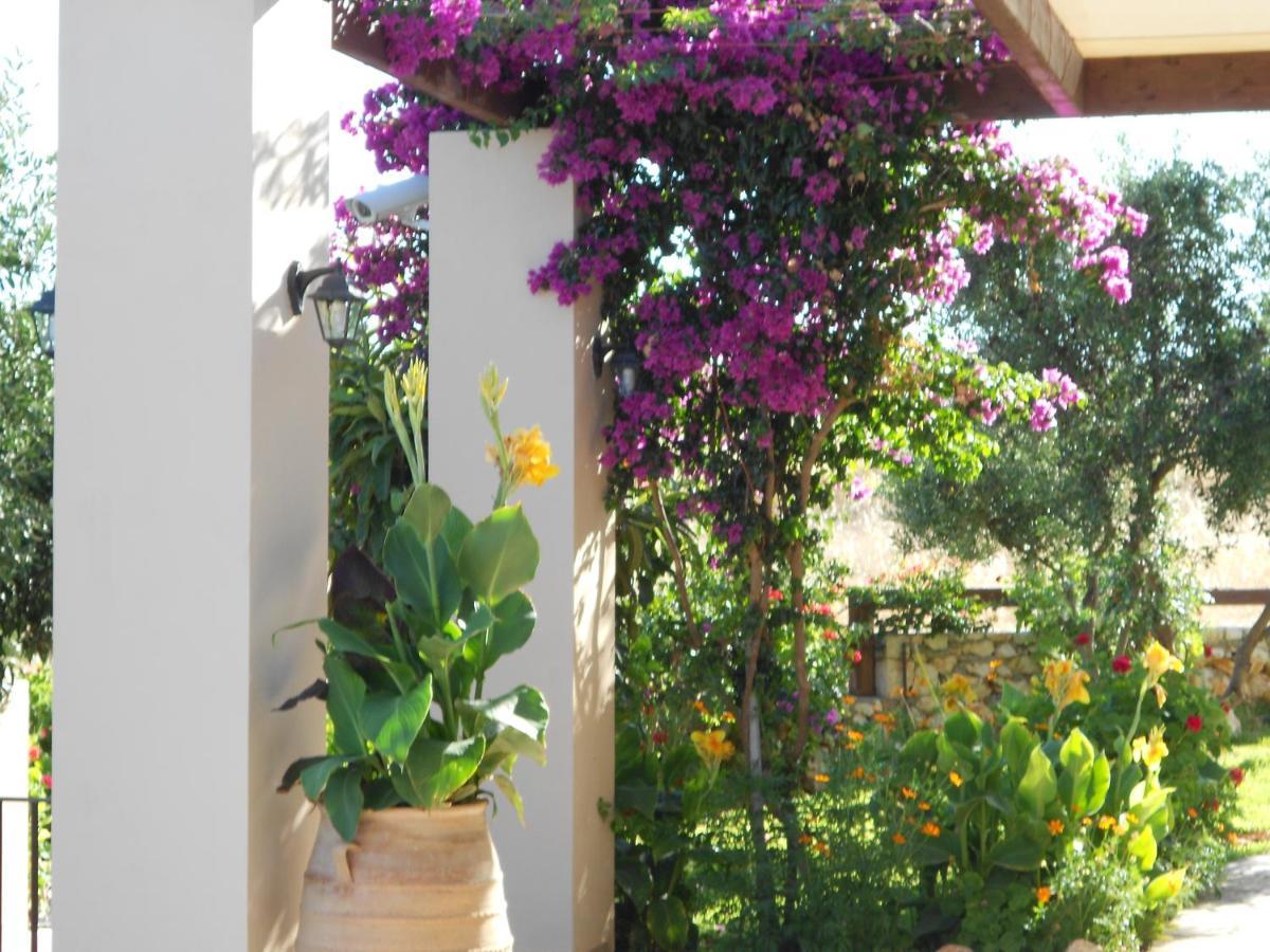 Livadaki Village Hotel Skala  Экстерьер фото