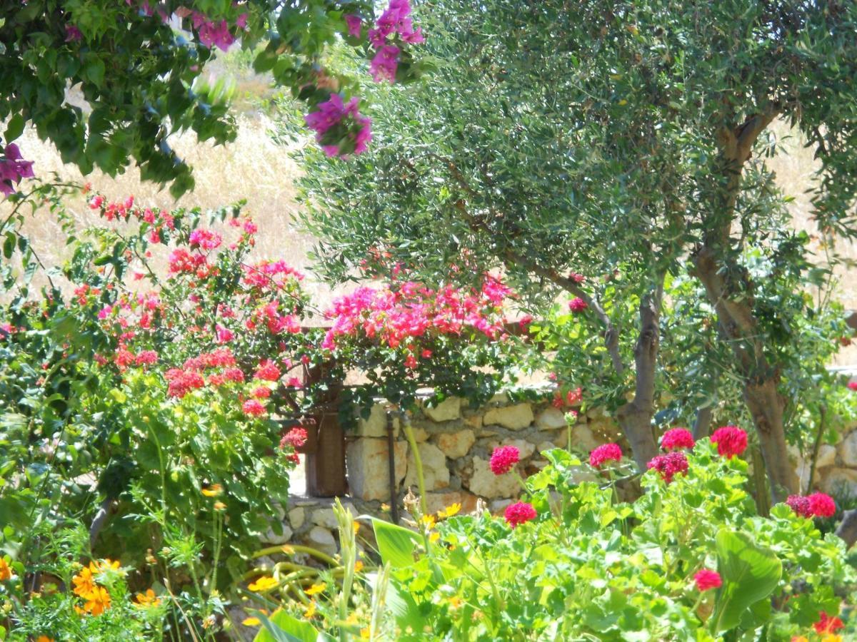 Livadaki Village Hotel Skala  Экстерьер фото